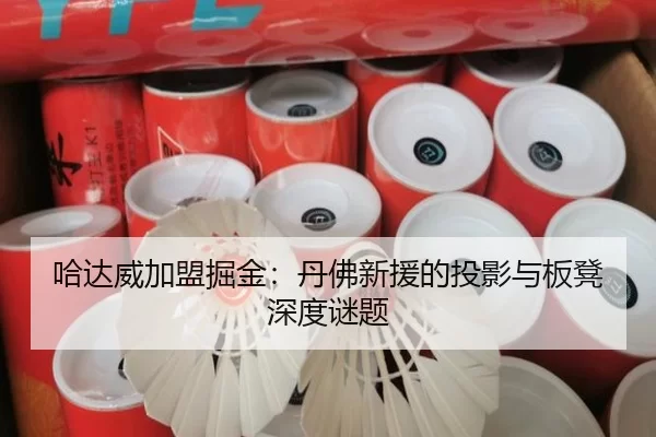 ha-da-wei-jia-meng-jue-jin-dan-fu-xin-yuan-de-tou-ying-yu-ban-deng-shen-du-mi-ti-2-550.jpg
